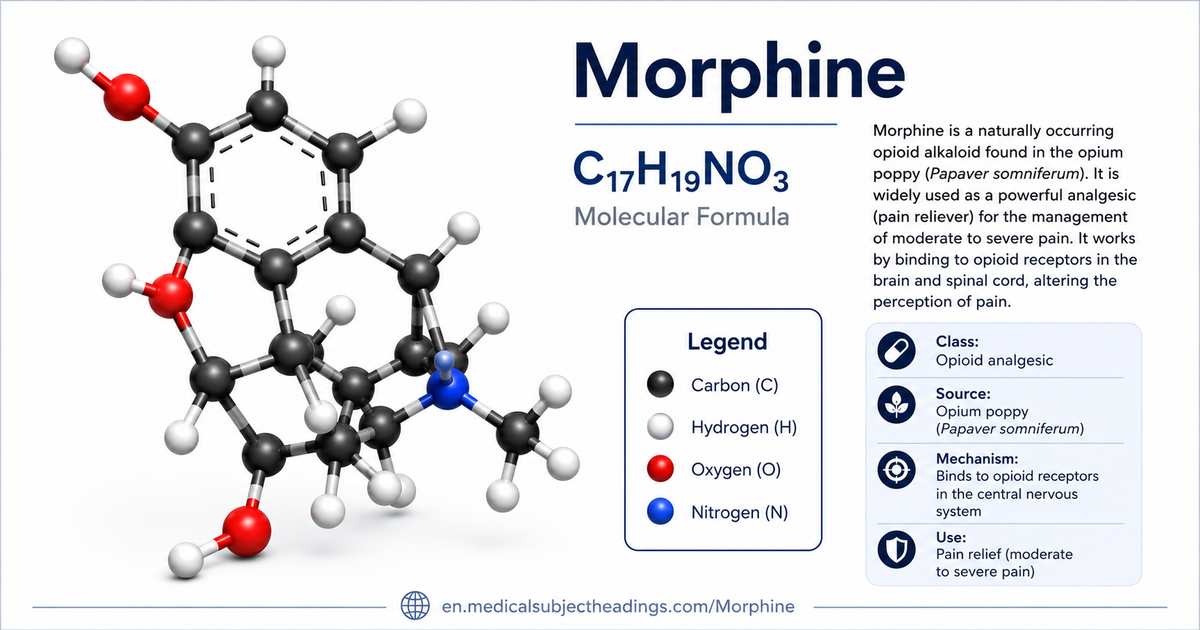 Molecular structure visualization for Morphine